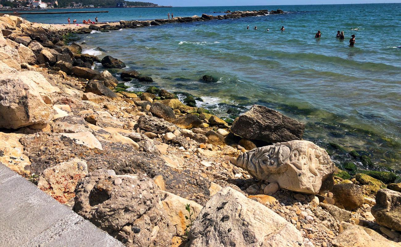 Photo de Delano avec surface béton pavée de surface