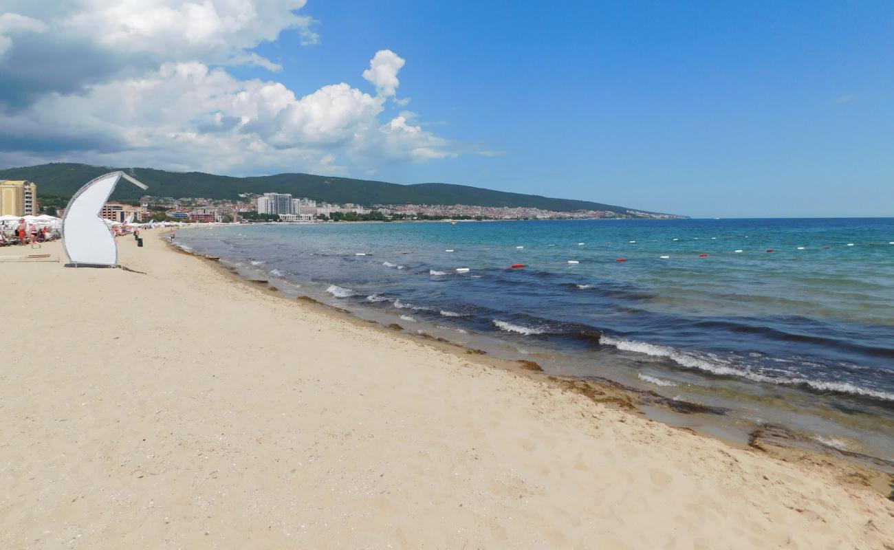 Photo de Sunny beach avec sable lumineux de surface