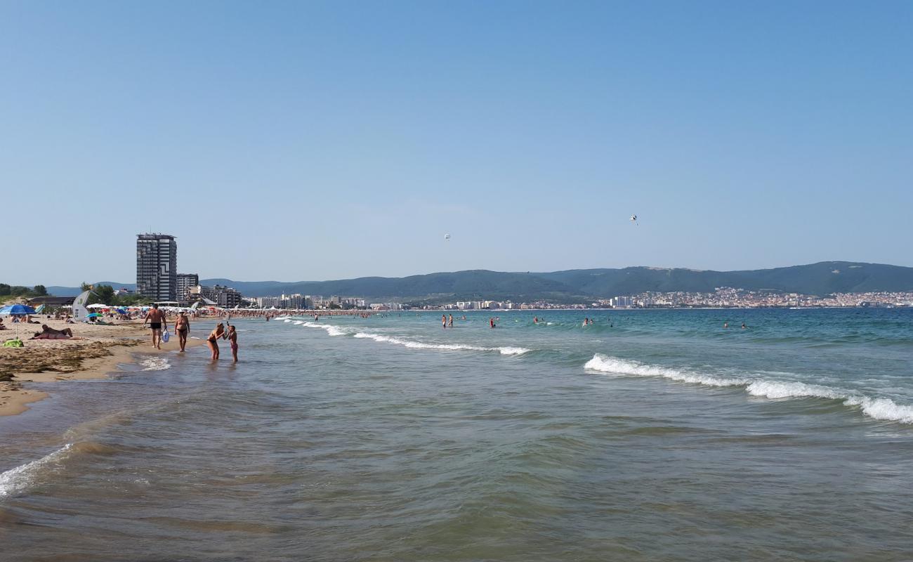 Photo de Sunny nude beach avec sable fin blanc de surface