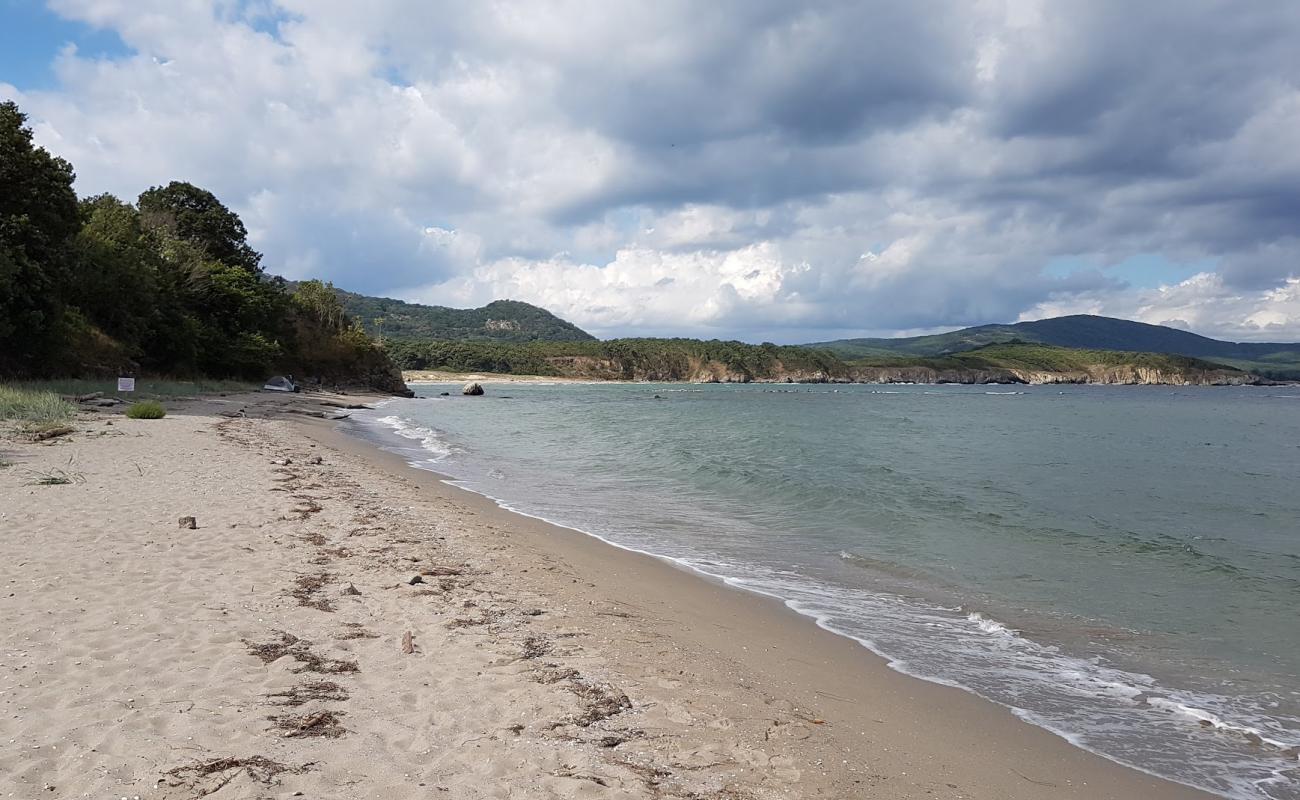 Photo de Ropotamo beach avec sable lumineux de surface