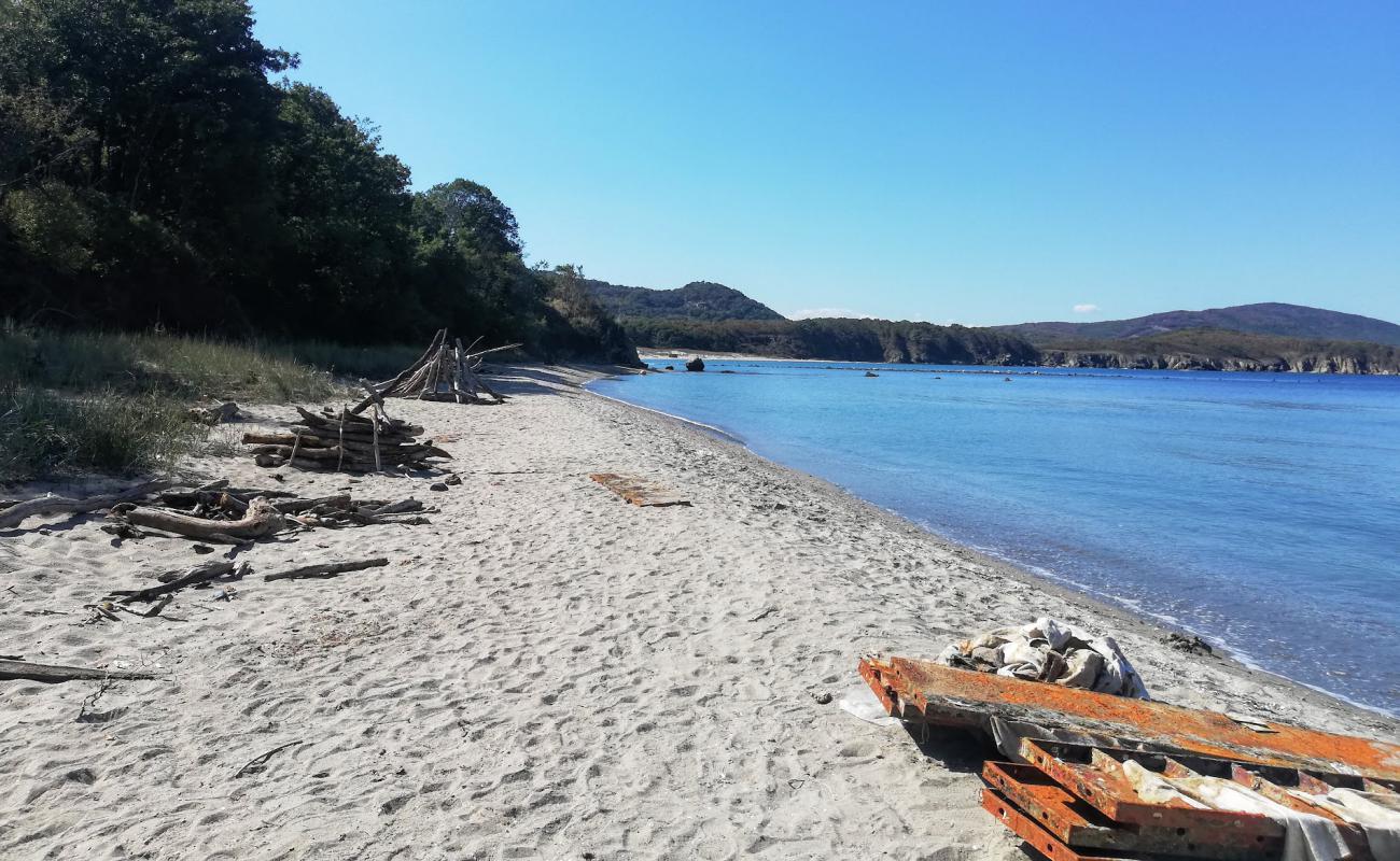 Photo de Ropotamo beach II avec sable lumineux de surface