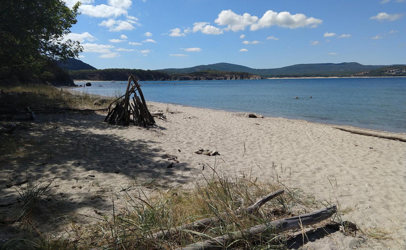 Photo de Small Shady beach avec sable lumineux de surface