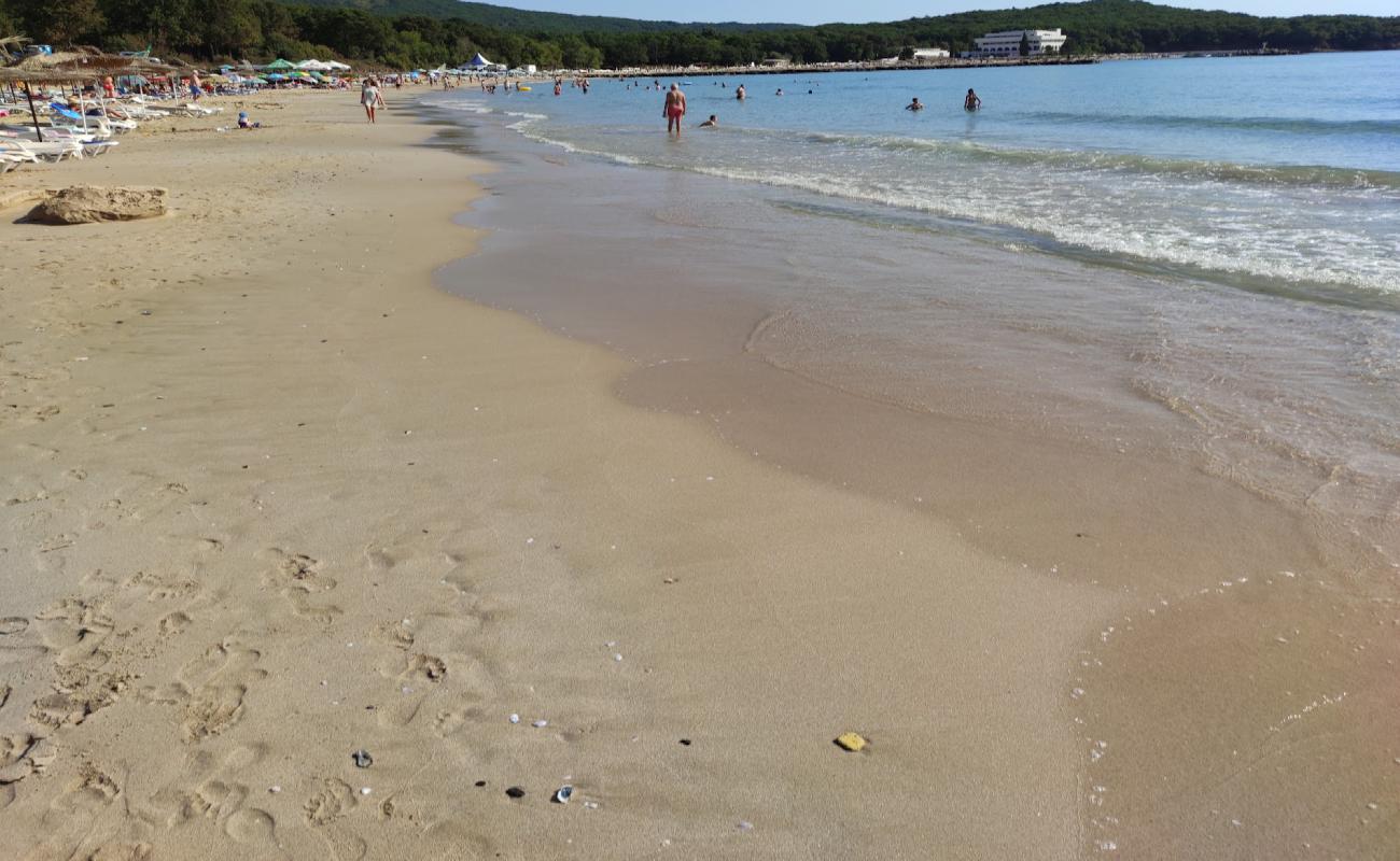 Photo de Pearl beach avec sable lumineux de surface