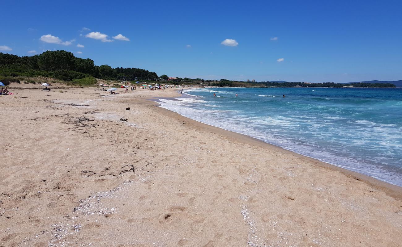 Photo de Coral beach avec sable lumineux de surface