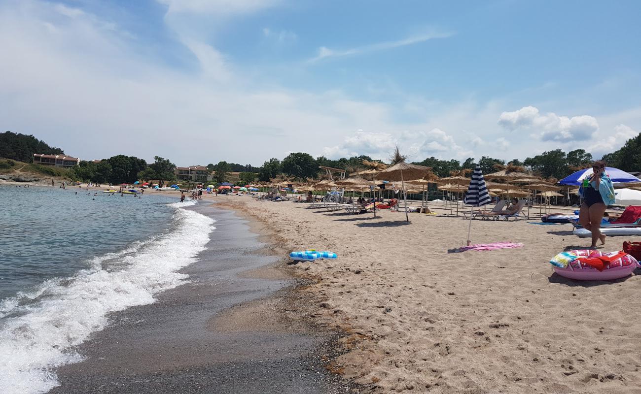 Photo de Arapya beach avec sable beige de surface
