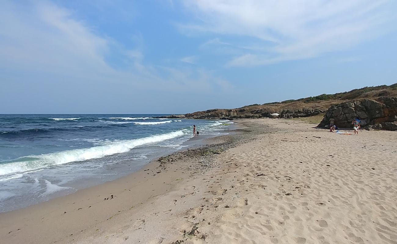 Photo de Leaves Plage South avec sable brillant et rochers de surface