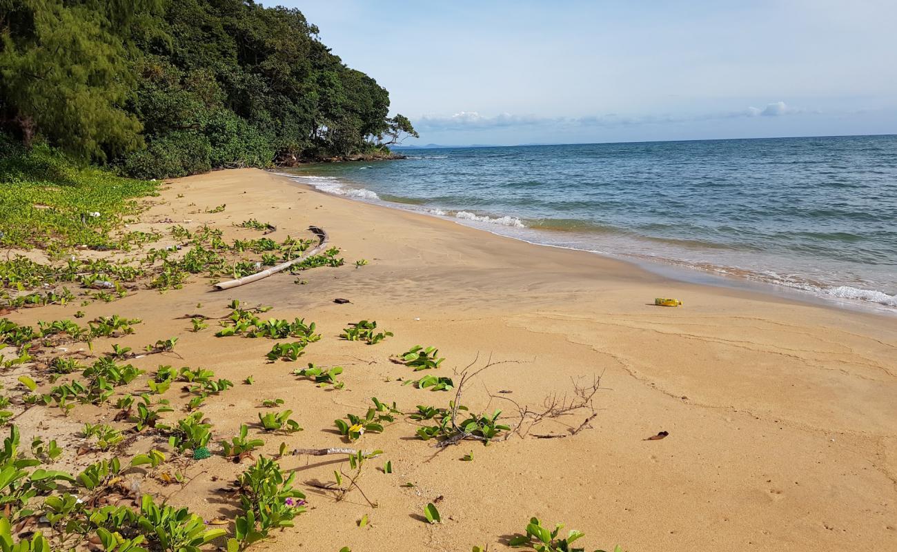 Photo de Lady's Headland avec sable beige de surface