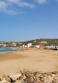 Marsa Ben M'Hidi