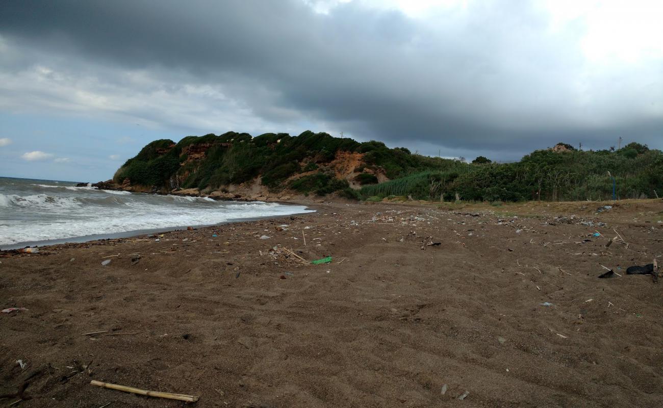 Photo de Plage de Ouled El Belaa avec sable brun de surface