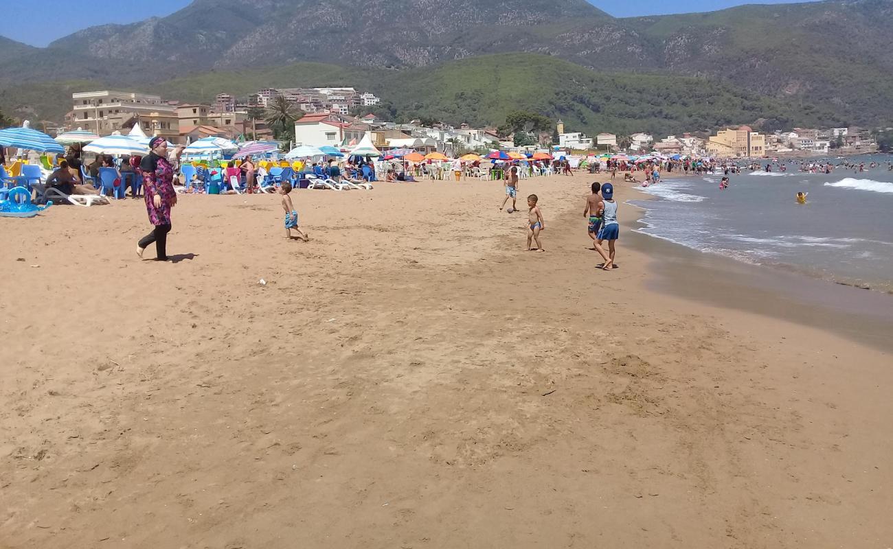 Photo de Chenoua plage avec sable lumineux de surface