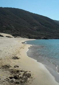 Province d'Annaba
