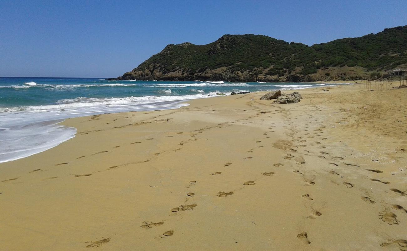 Photo de Golden Sands Beach avec sable lumineux de surface