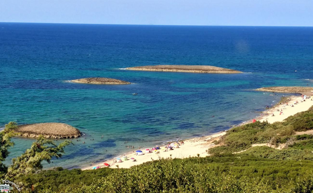 Photo de Plage Laouinette avec sable lumineux de surface