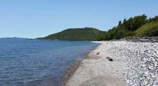 Pebble beach