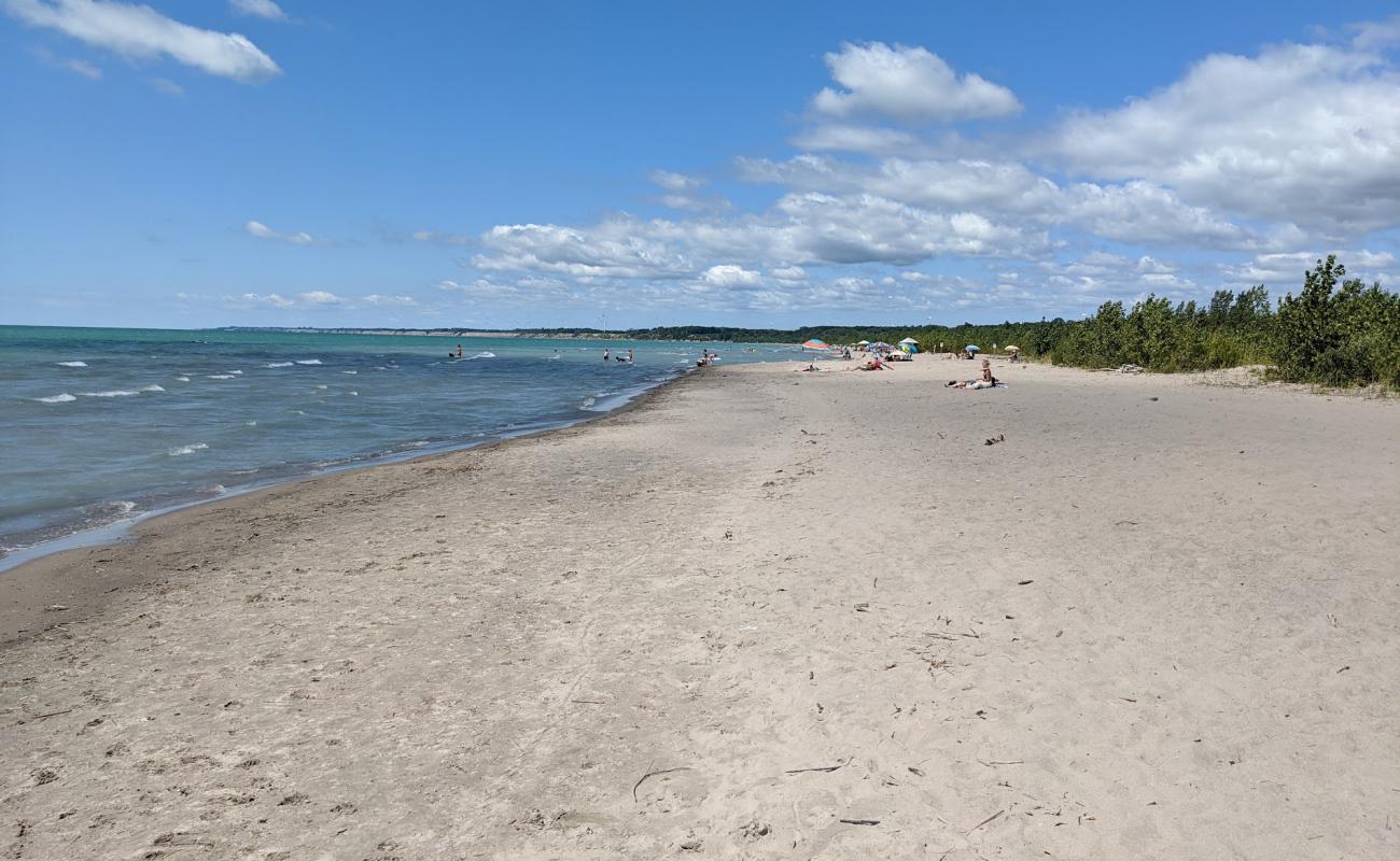 Photo de Dog Beach avec sable lumineux de surface