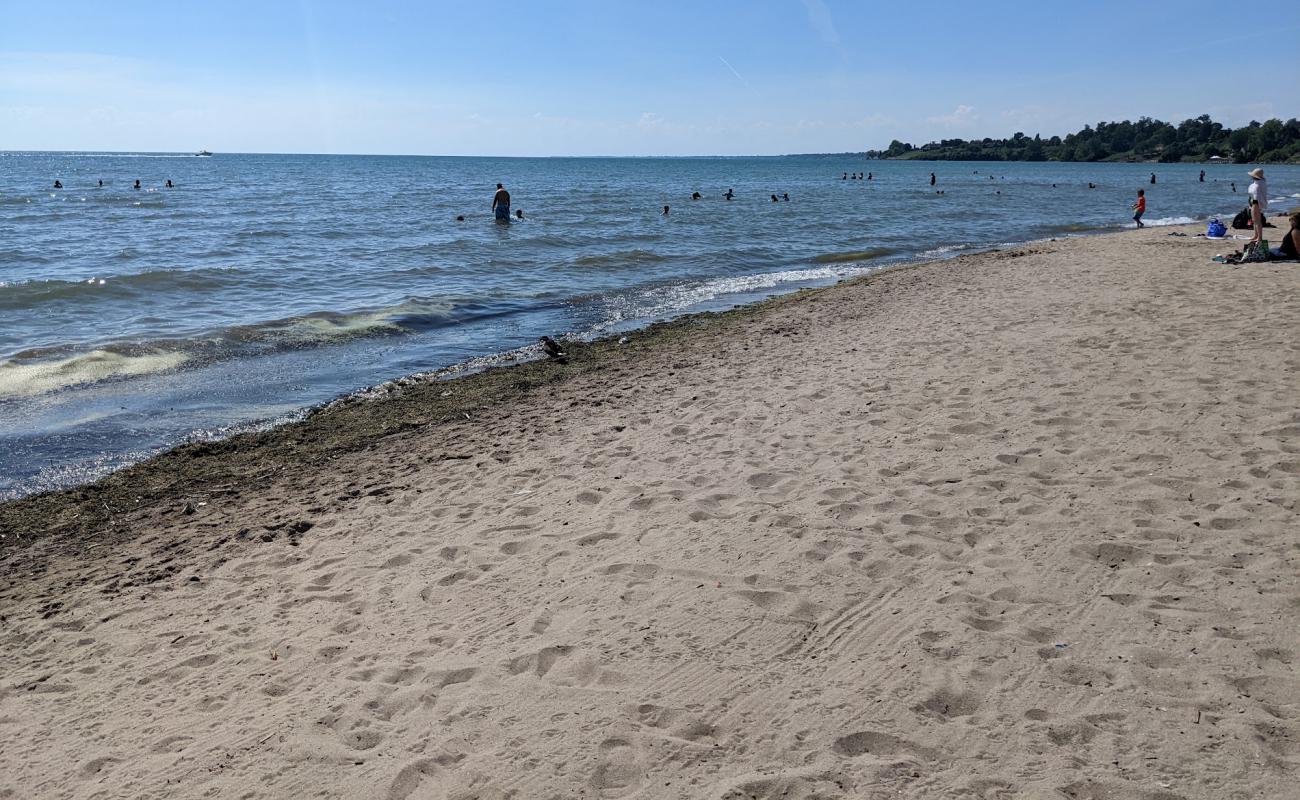 Photo de Seacliff beach avec sable lumineux de surface