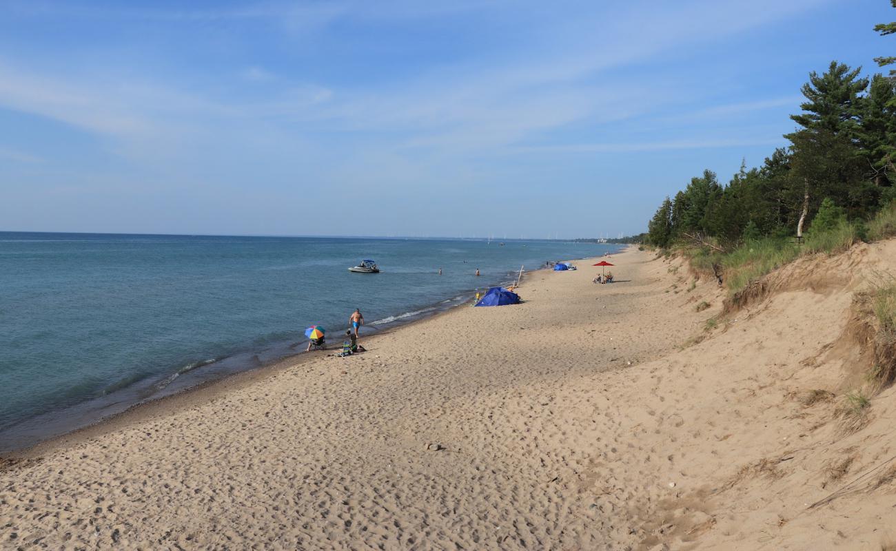 Photo de Pinery Dog Beach avec sable lumineux de surface