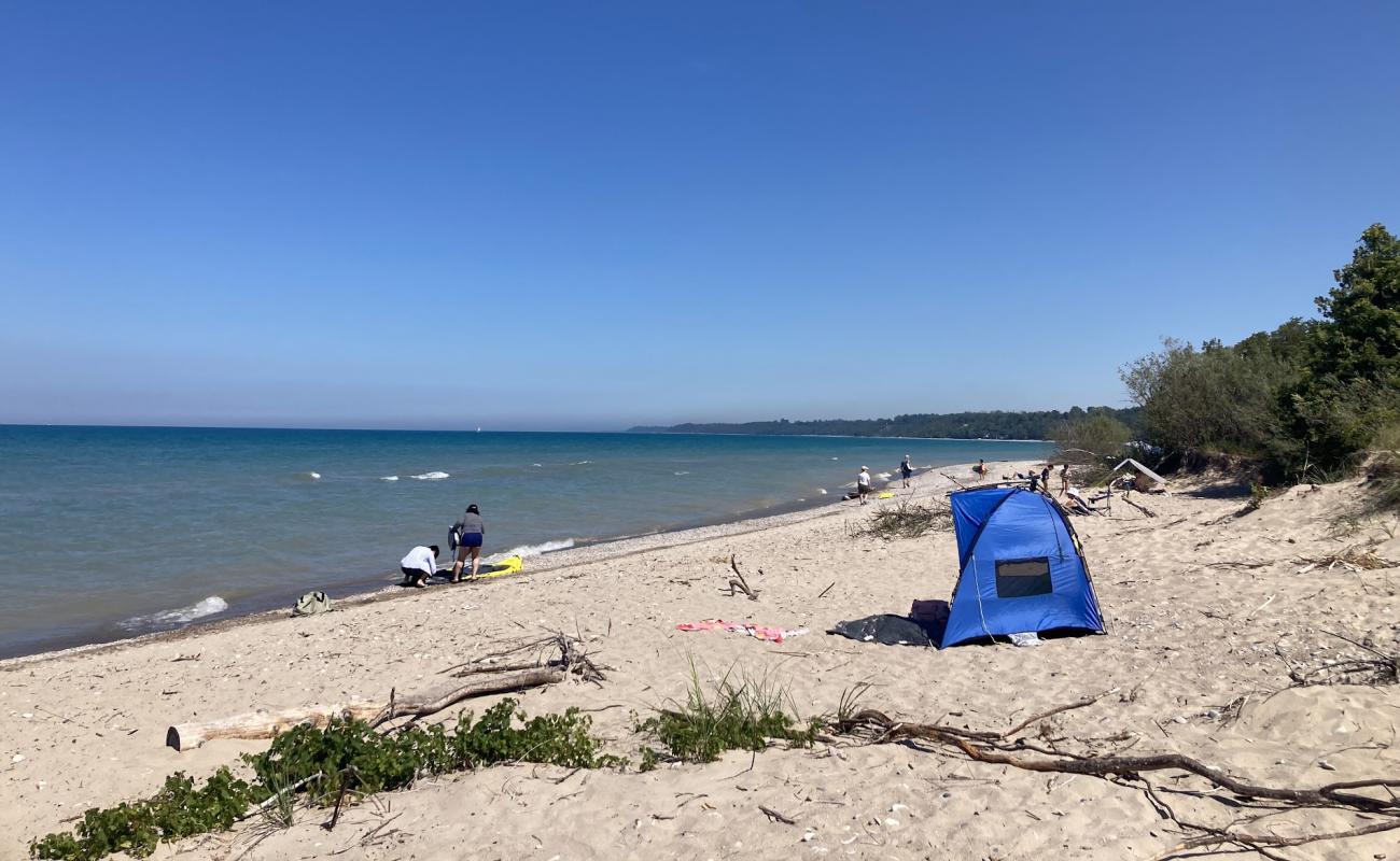 Photo de Point Farm Beach avec sable beige de surface