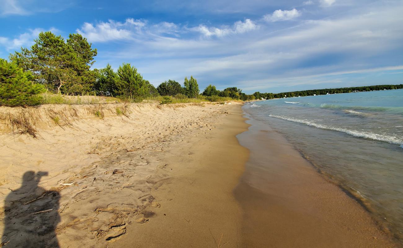 Photo de Inverhuron Beach avec sable beige de surface