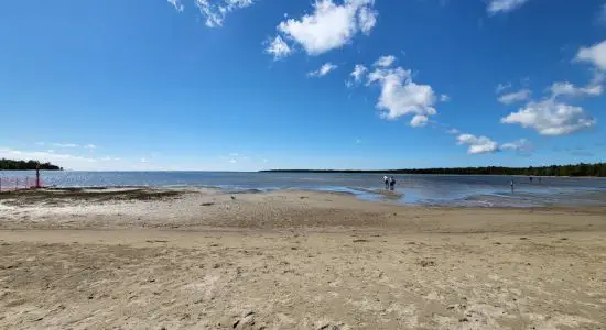 Singing Sands