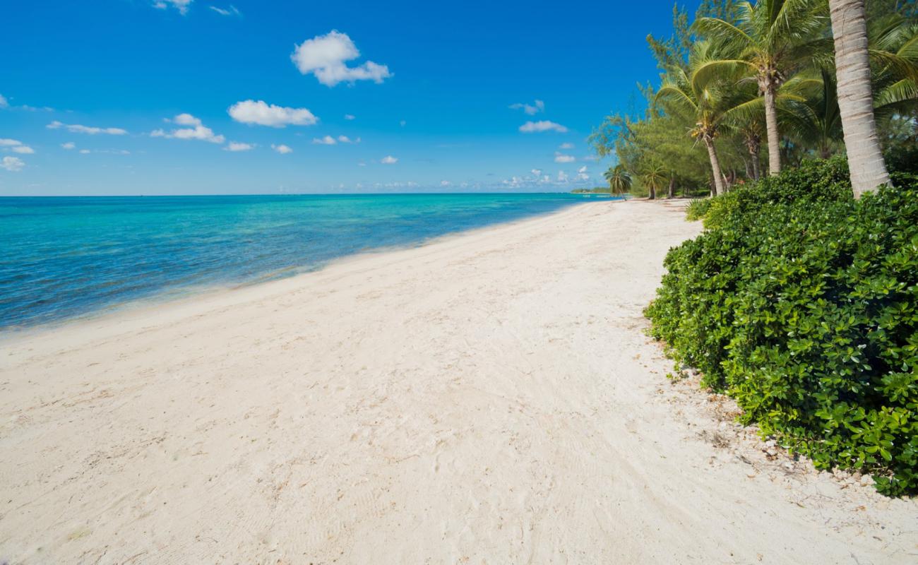 Photo de Cayman Villas beach avec sable fin et lumineux de surface