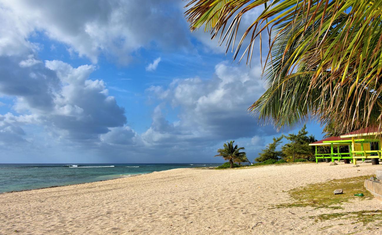 Photo de Bodden Town beach avec sable beige fin de surface