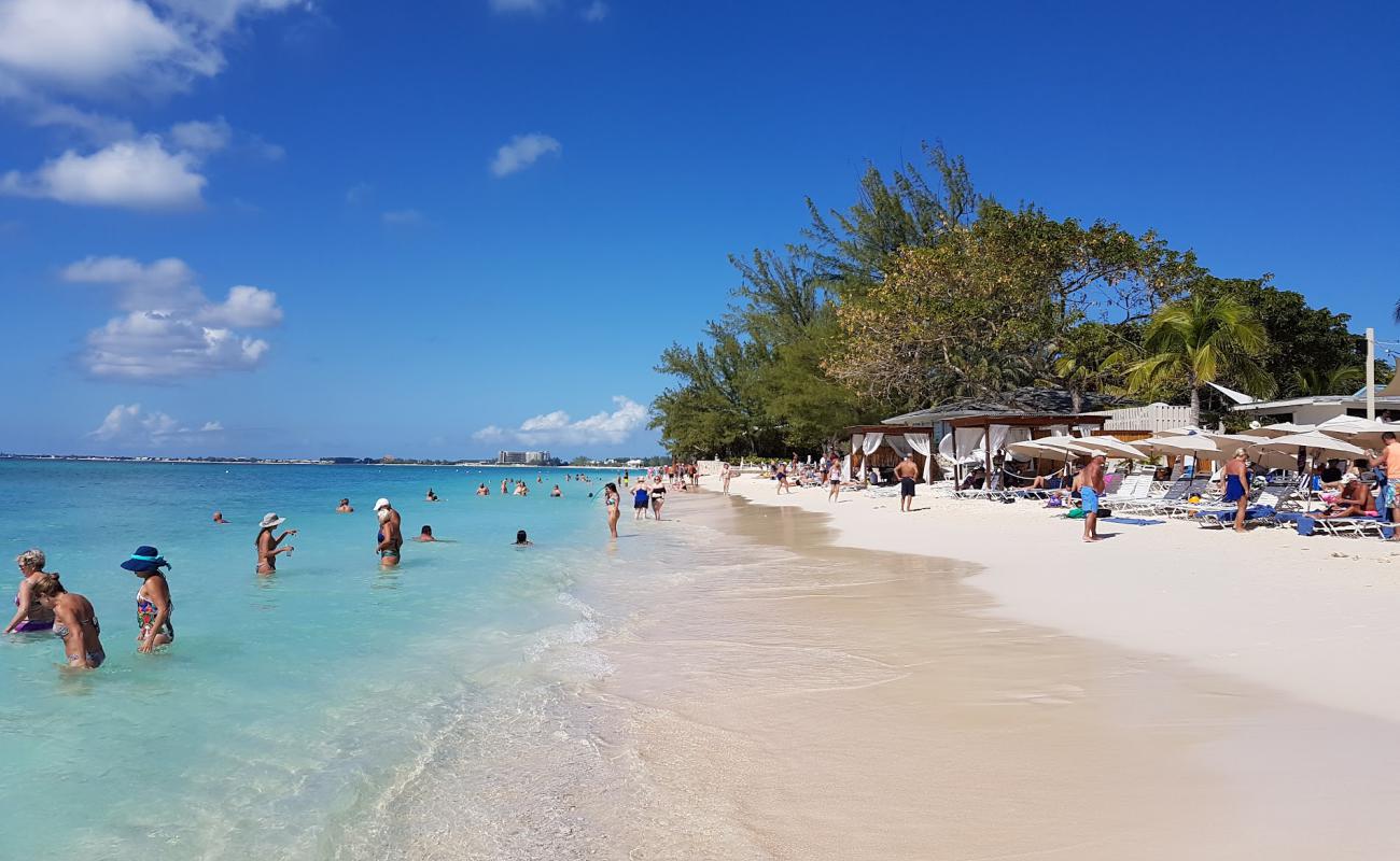 Photo de Plage des Royal Palms avec sable fin et lumineux de surface