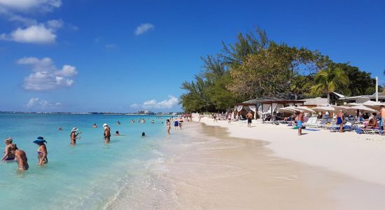 Plage des Royal Palms