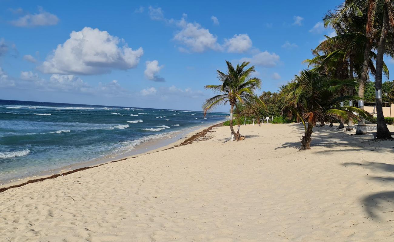 Photo de Conch Point beach avec caillou fin noir de surface