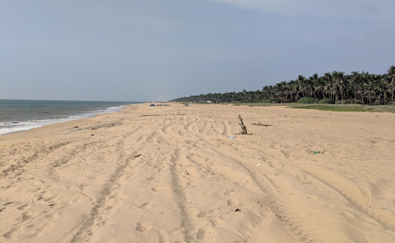 Photo de Udappuwa Beach avec sable beige de surface