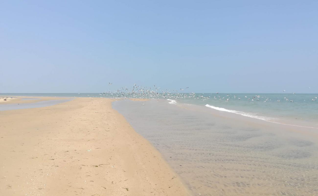 Photo de Talaimannar beach avec sable lumineux de surface