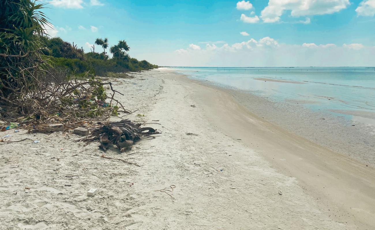 Photo de Kallady Beach avec sable lumineux de surface