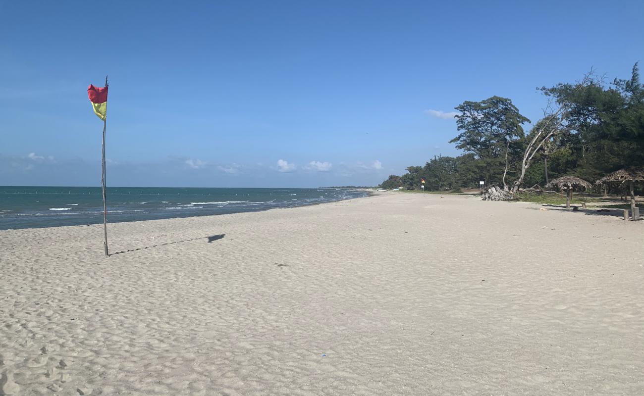 Photo de Casuarina Beach avec sable lumineux de surface