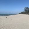 Casuarina Beach