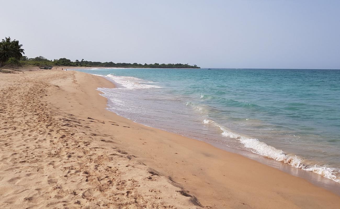 Photo de Theepan garden Beach avec sable beige de surface