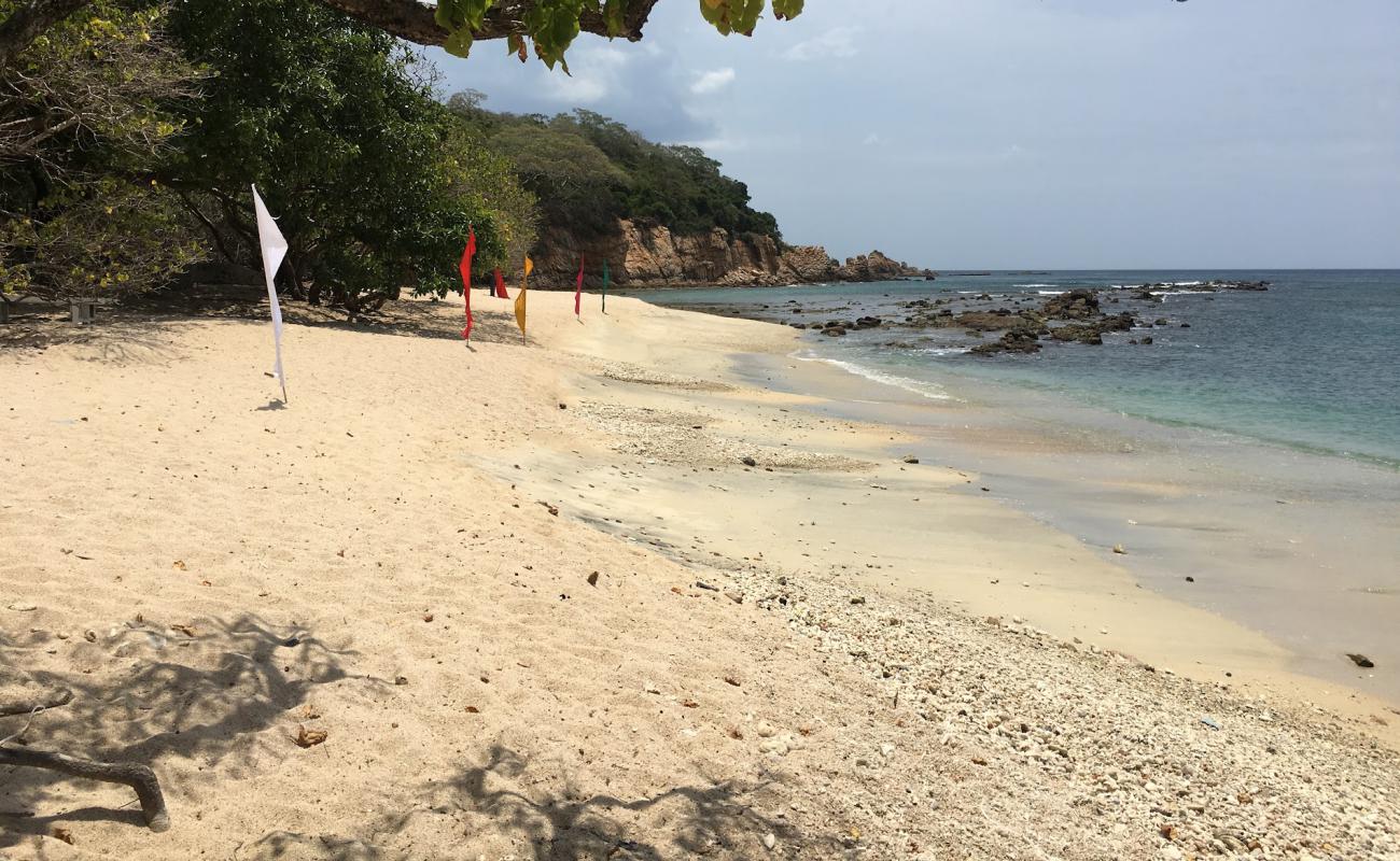 Photo de Coral Cove Beach avec sable lumineux de surface