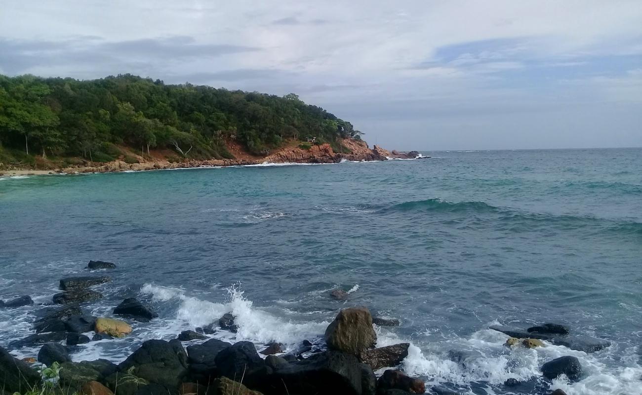 Photo de Green Bay beach avec sable beige de surface