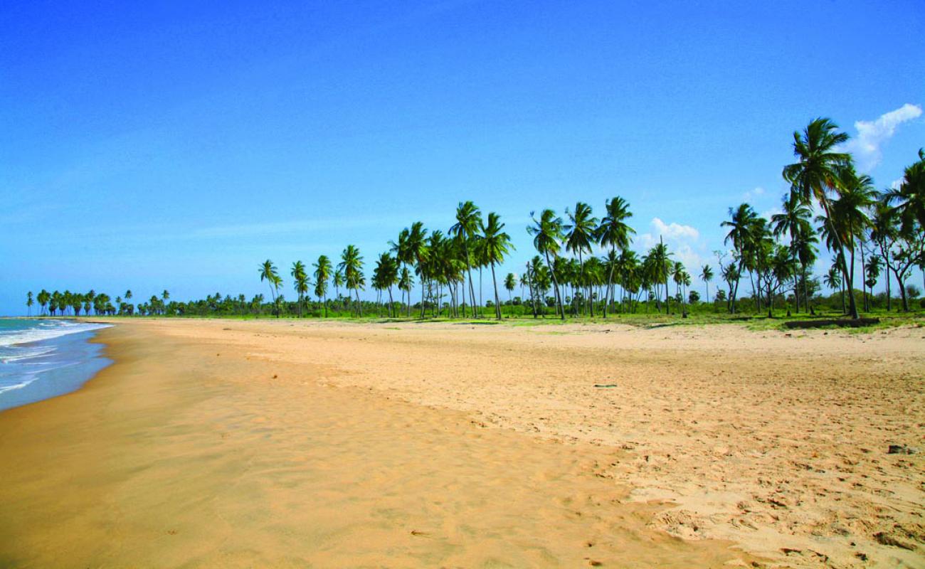 Photo de Palchenai Beach avec sable beige fin de surface