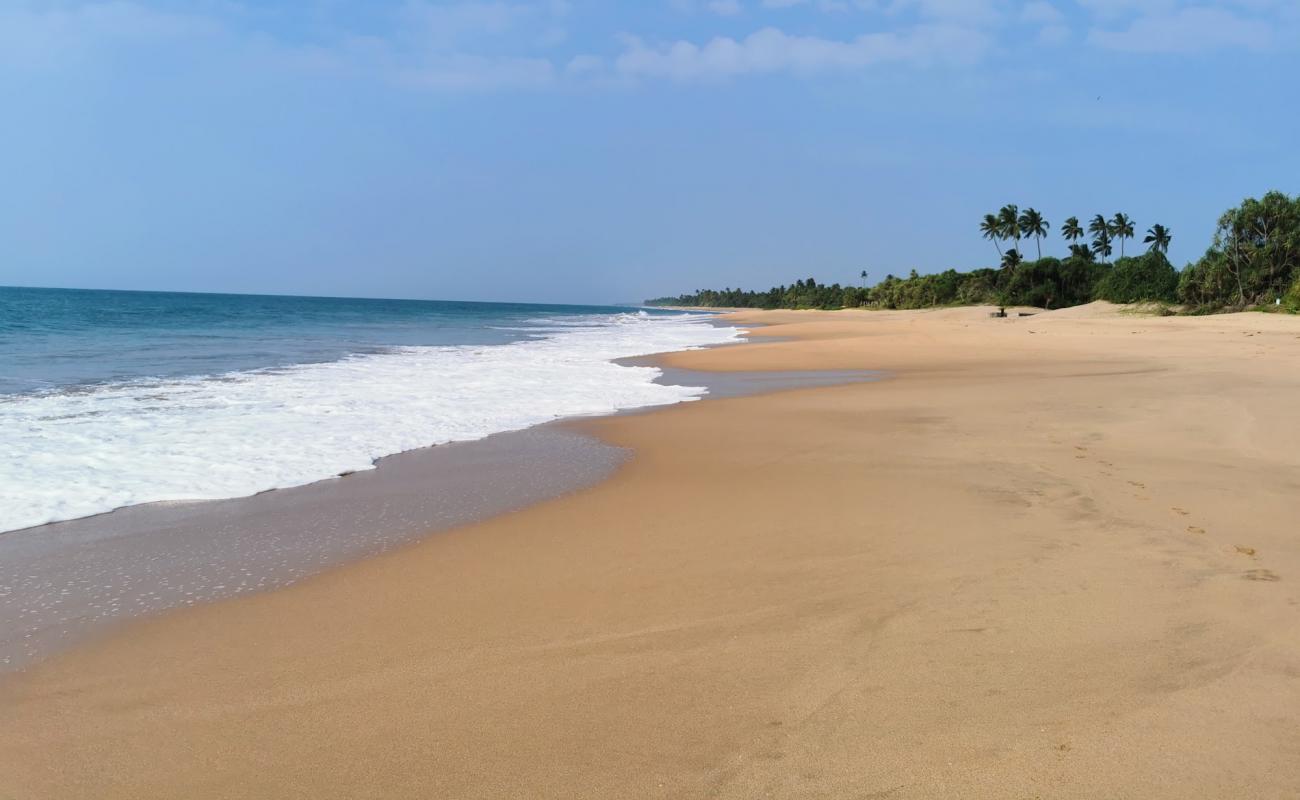 Photo de Lankavatara Beach avec sable beige de surface