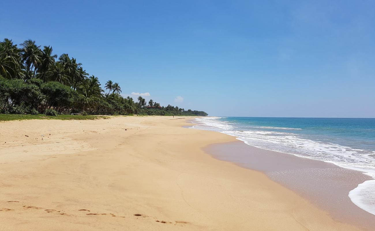 Photo de Wella Odaya Beach avec sable beige de surface