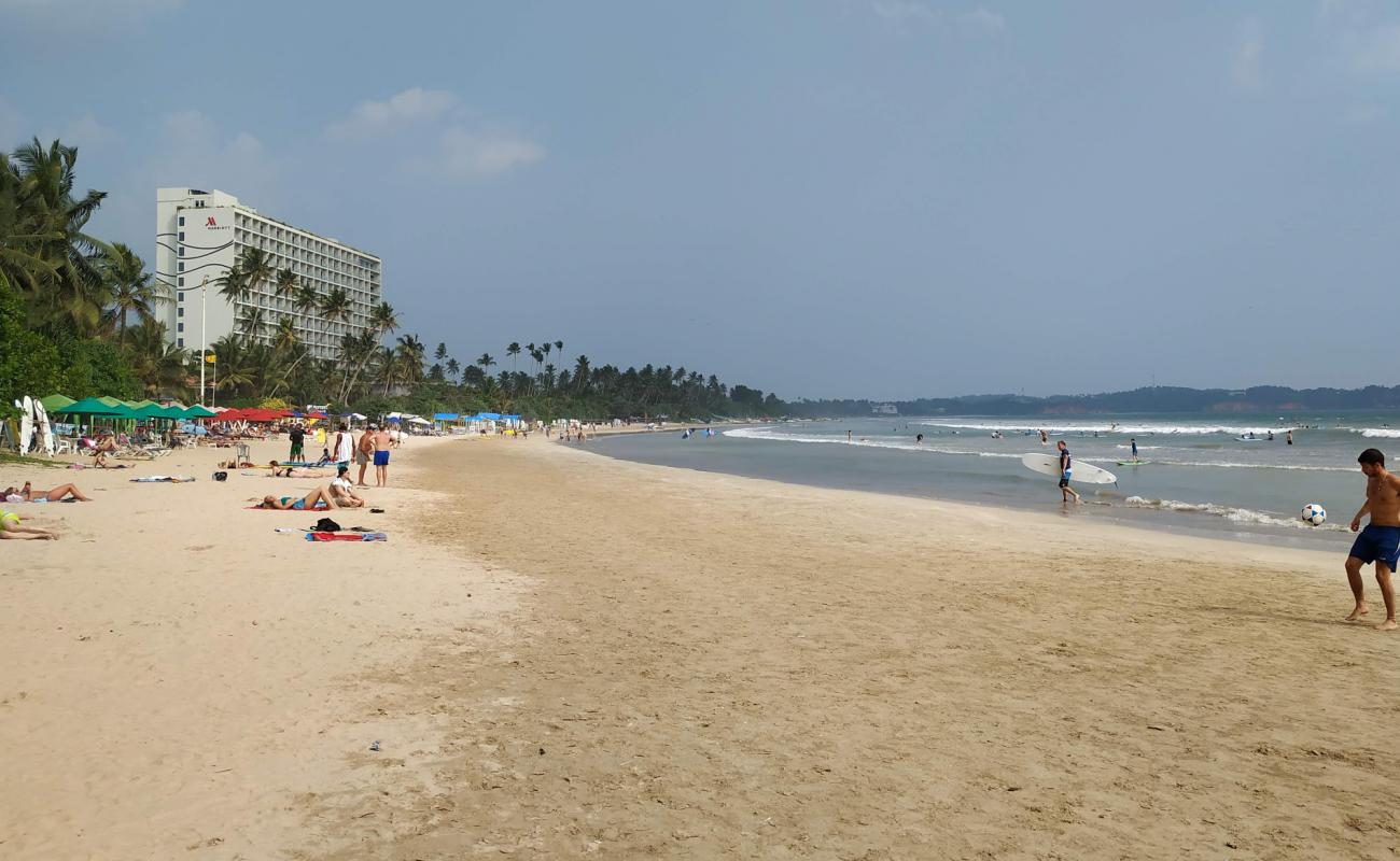 Photo de Plage de la baie de Weligama avec sable lumineux de surface