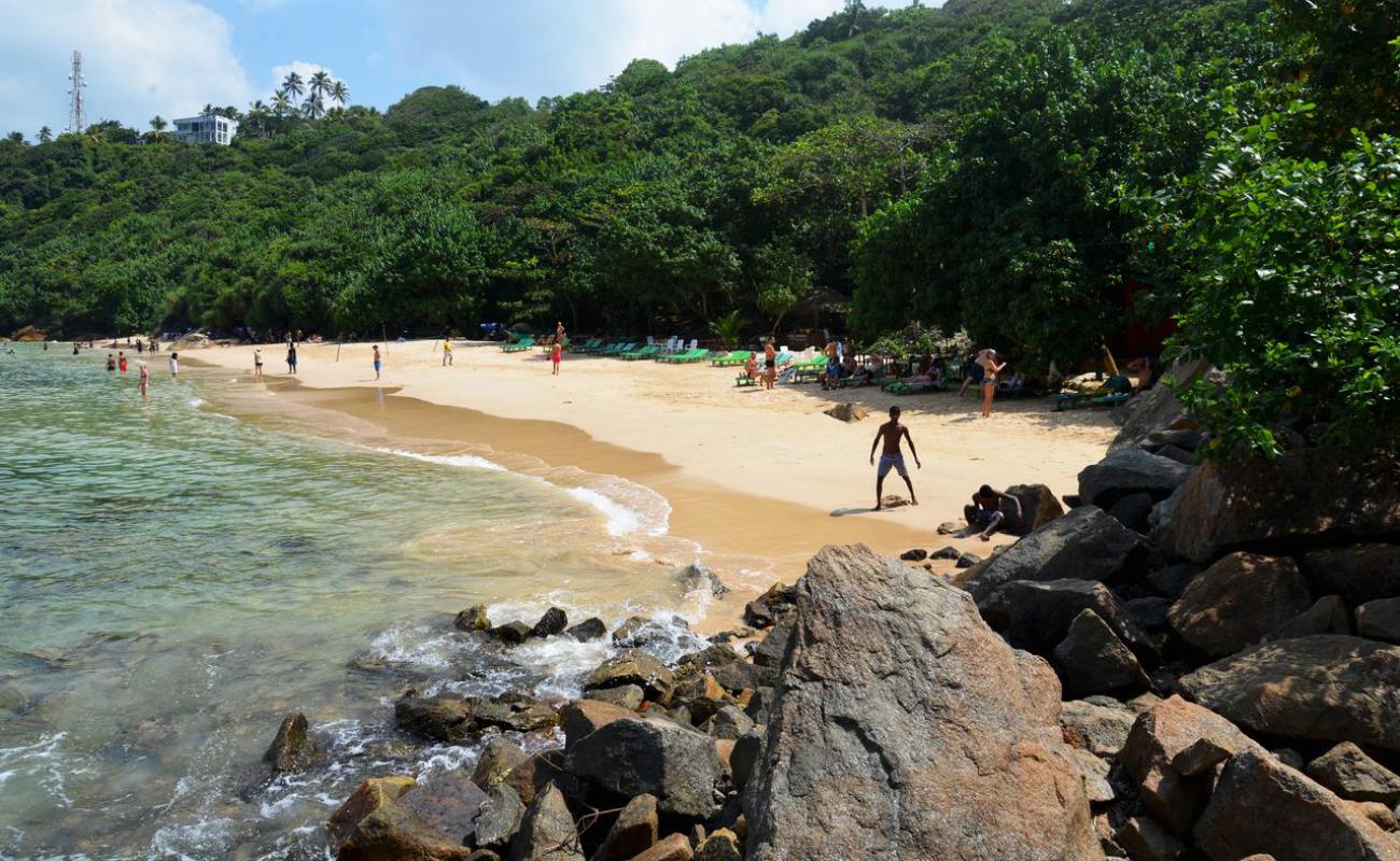 Photo de Plage de la Jungle avec sable lumineux de surface