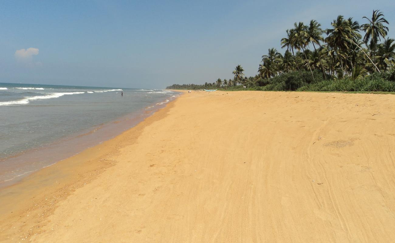 Photo de Pinwatte beach avec sable beige de surface