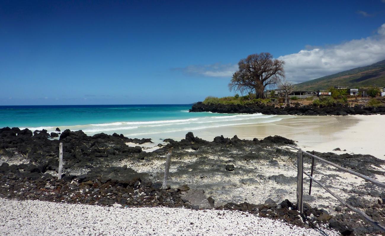 Photo de Plage de Chomoni avec sable beige de surface