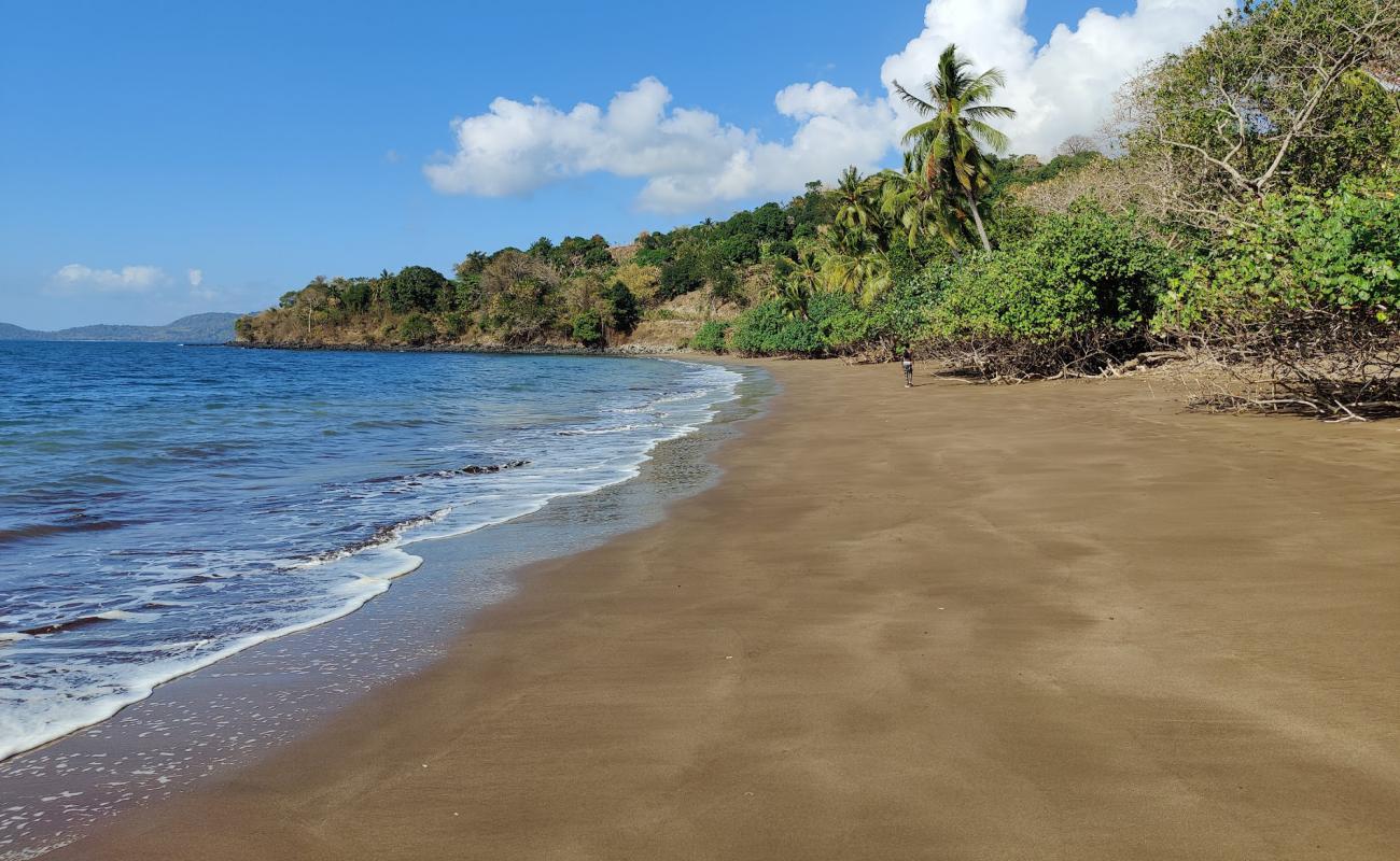 Photo de Musical Beach avec sable fin marron de surface