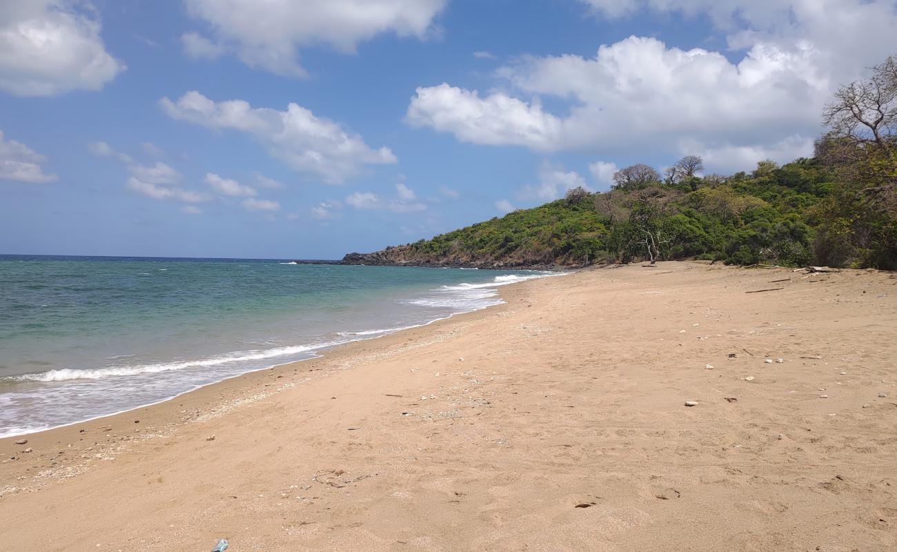 Photo de Mtsanga Kolo Batsoumou Beach avec sable brun de surface