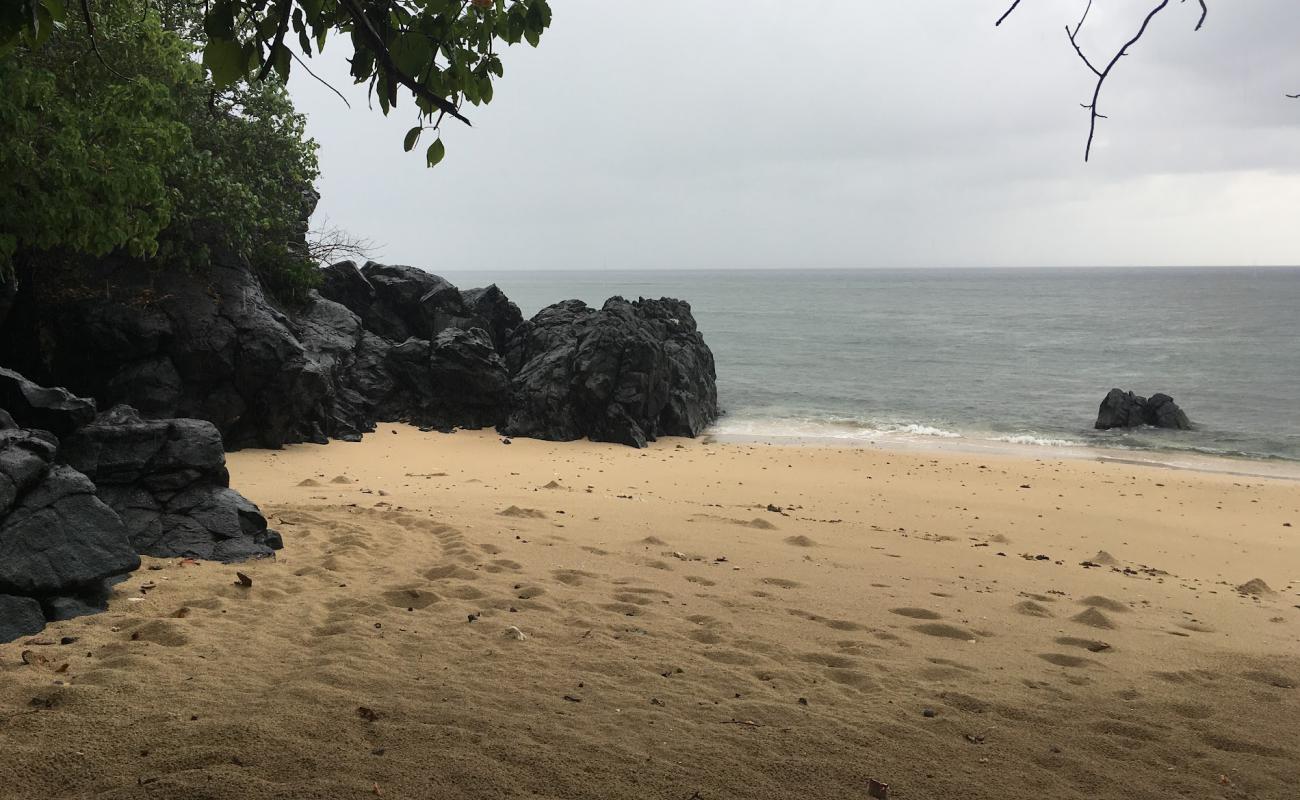 Photo de Mtsimbatsou Beach avec sable beige fin de surface