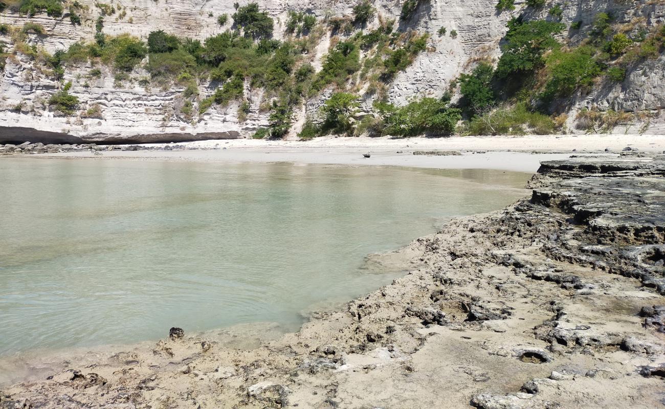 Photo de Badamier Beach avec sable clair avec caillou de surface