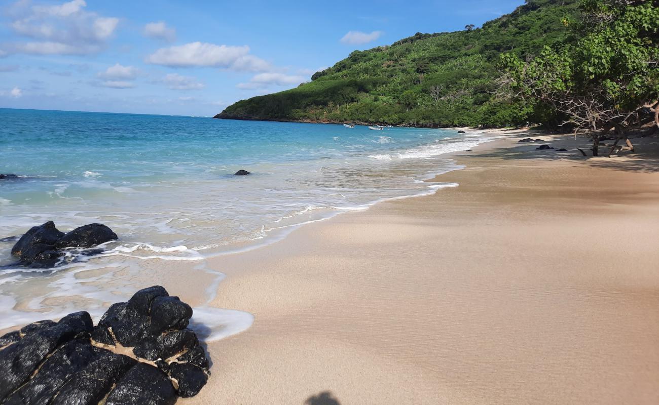 Photo de Mtsanga Safari Beach avec sable beige fin de surface