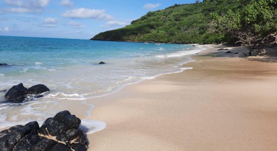 Mtsanga Safari Beach